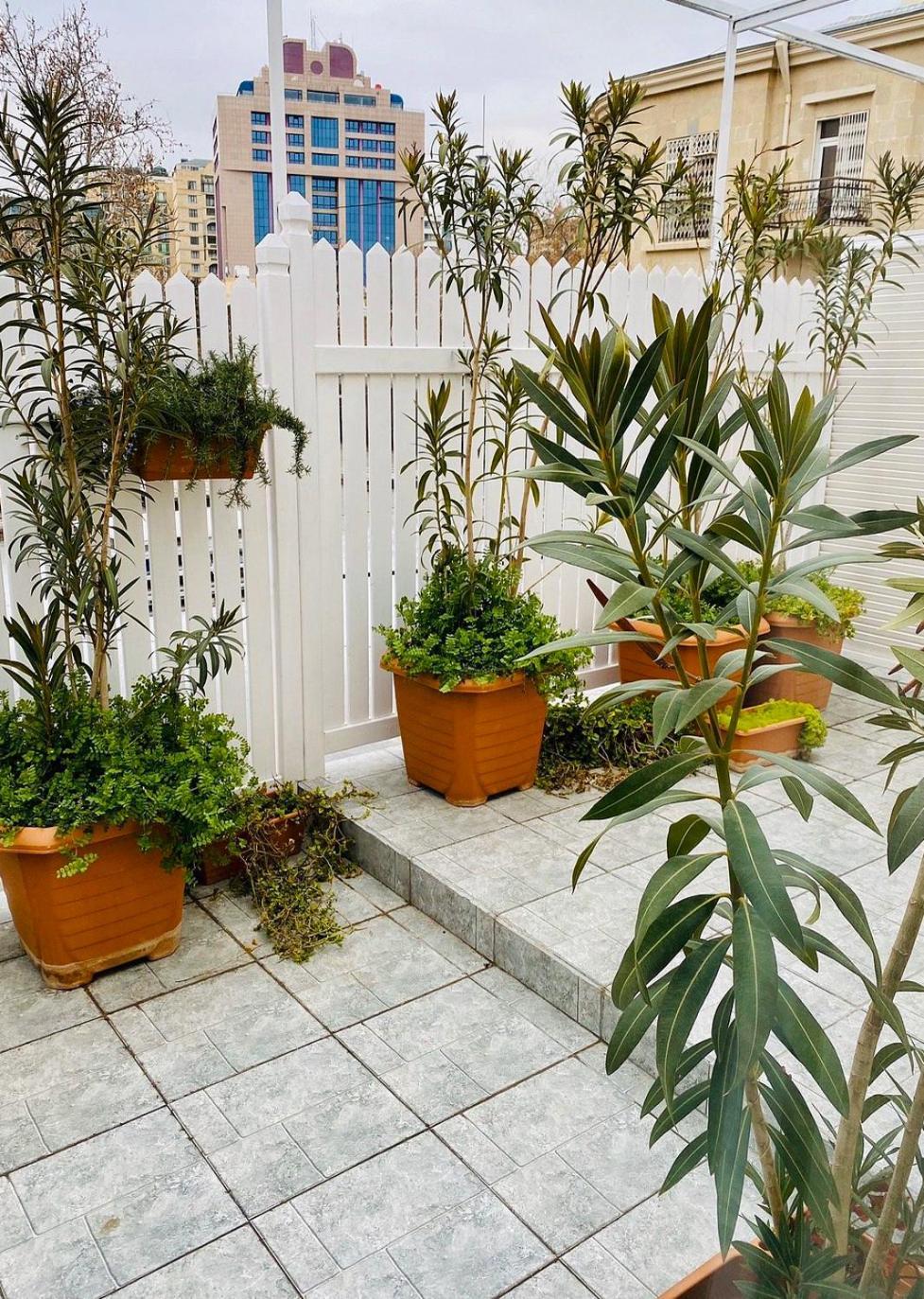 Zimmer Boutique Hotel Baku Luaran gambar